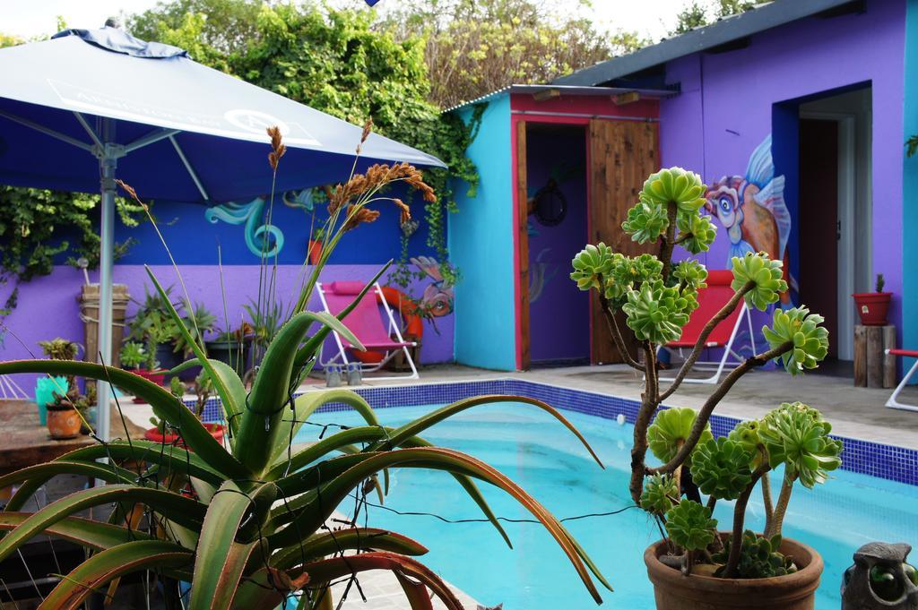 Albergue Cape Agulhas Backpackers Struisbaai Habitación foto