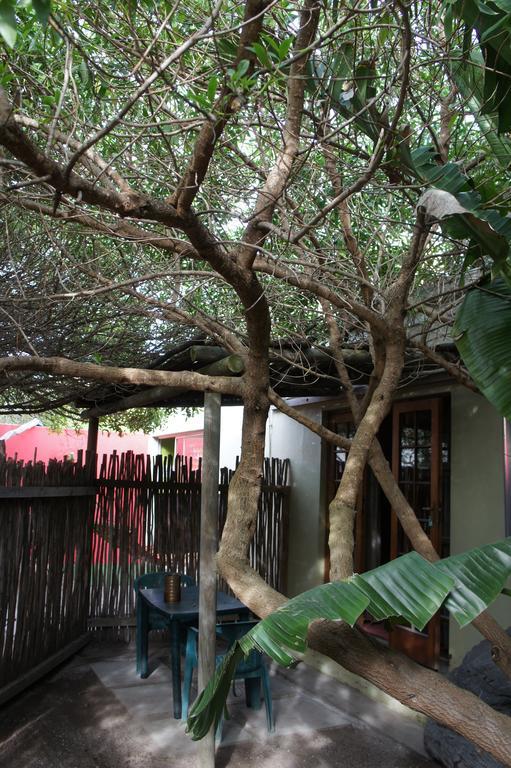 Albergue Cape Agulhas Backpackers Struisbaai Exterior foto