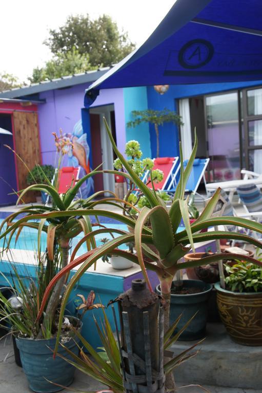Albergue Cape Agulhas Backpackers Struisbaai Habitación foto