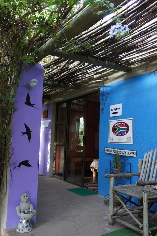Albergue Cape Agulhas Backpackers Struisbaai Habitación foto